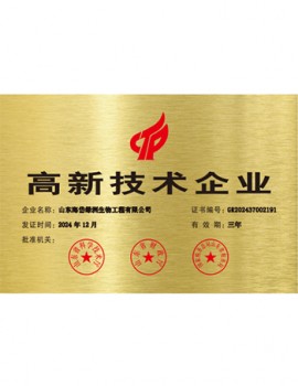 高新手艺企业